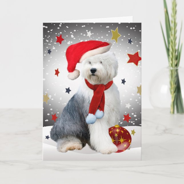Old English Sheepdog Christmas Stars Holiday Card (Front)