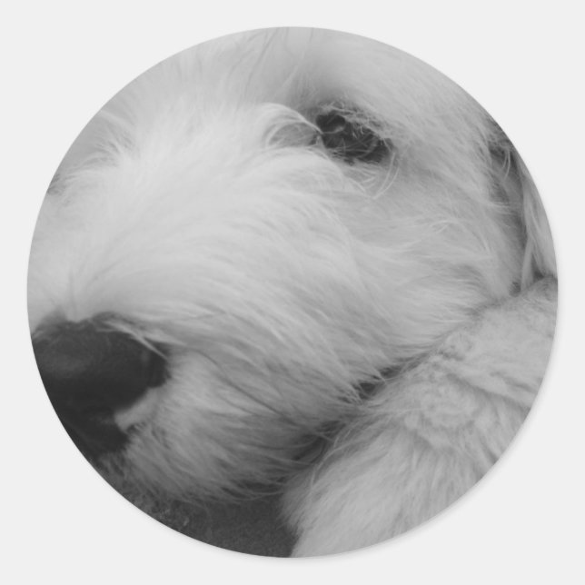 Old English Sheepdog Classic Round Sticker (Front)