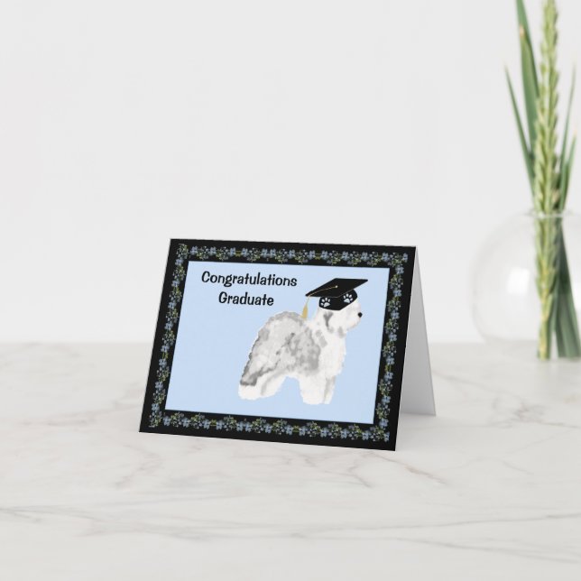 Old English Sheepdog Graduation Card (Front)