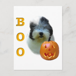 Old English Sheepdog Halloween Boo Postcard