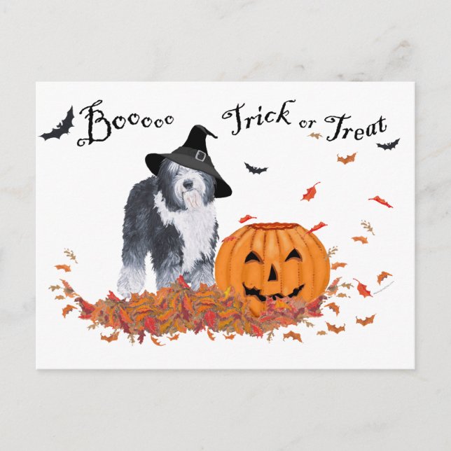 Old English Sheepdog Halloween Postcard (Front)
