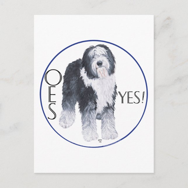 Old English Sheepdog Head Study Postcard (Front)