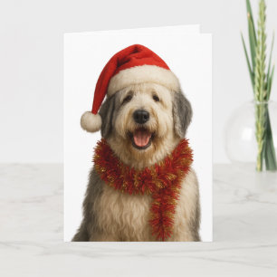 Old English Sheepdog in a Santa hat Christmas card