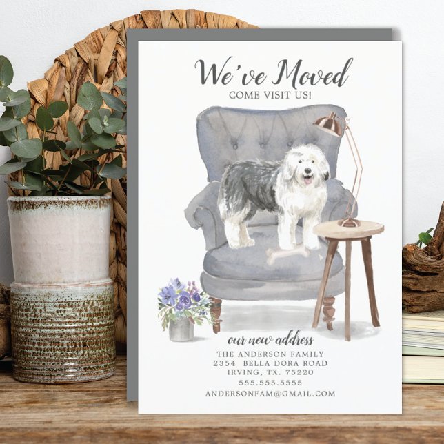Old English Sheepdog Moving Announcement (Creator Uploaded)