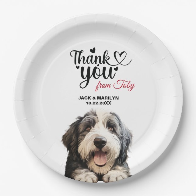 Old English Sheepdog Paper Plate (Front)