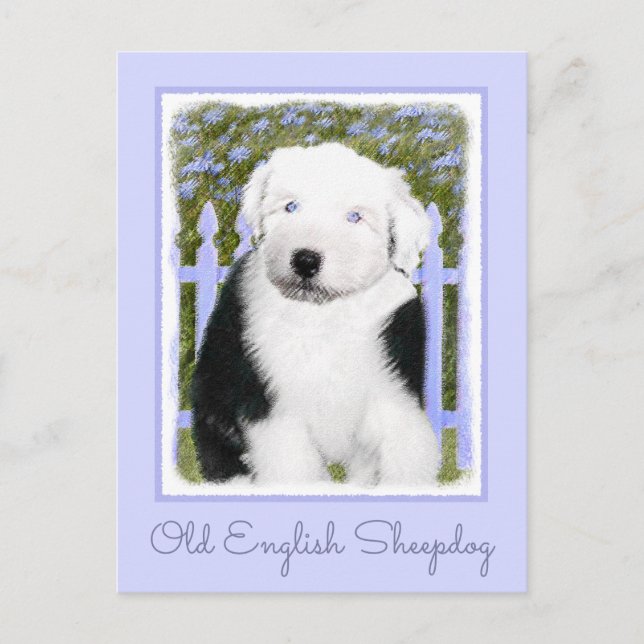 Old English Sheepdog Puppy Painting - Dog Art Postcard (Front)