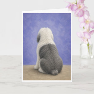 Old English Sheepdog Sympathy Card