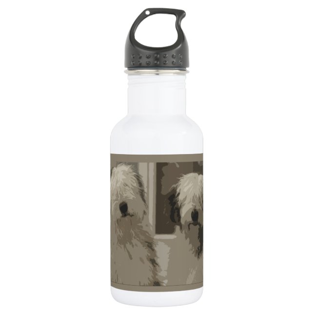 Old English Sheepdogs 532 Ml Water Bottle (Front)