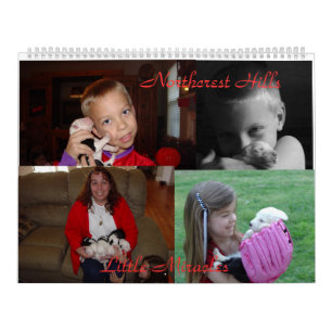 Old English Sheepdogs Calendar