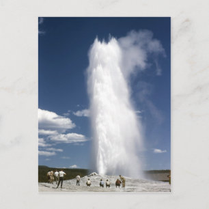 Old Faithful 1948 Postcard