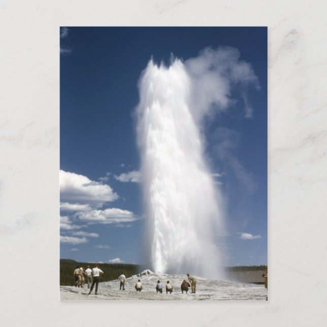 Old Faithful 1948 Postcard (Front)