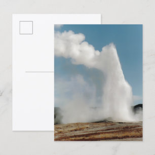 Old Faithful 2009 Postcard