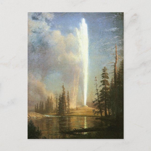 Old Faithful, Albert Bierstadt Postcard (Front)