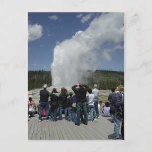 Old Faithful Geyser Postcard