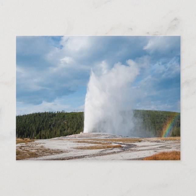 Old Faithful Geyser Postcard (Front)