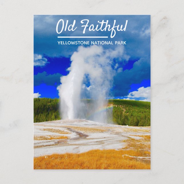 Old Faithful Geyser | Yellowstone National Park Postcard (Front)