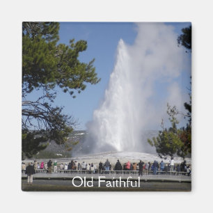 Old Faithful Magnet