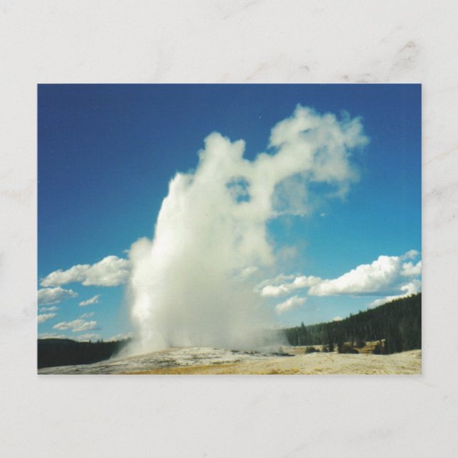 Old Faithful Postcard (Front)