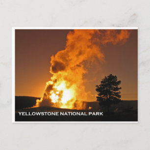 Old Faithful Sunset Postcard