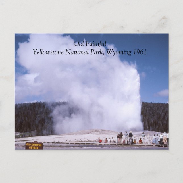 Old Faithful Yellowstone National Park Postcard (Front)