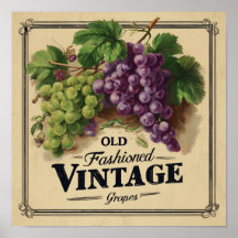 Old Fashion Vintage Grapes, Purple and Black Wine