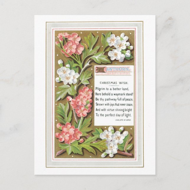 Old-fashioned Christmas, Flower Holiday Postcard (Front)