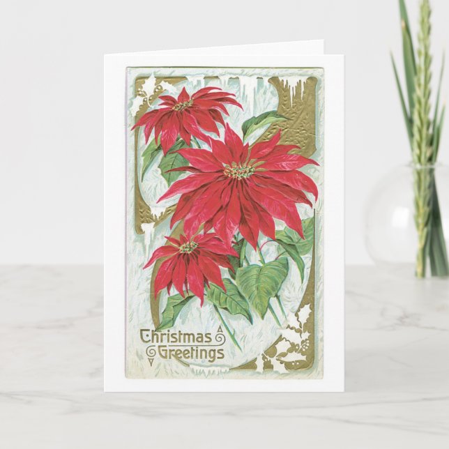 Old-fashioned Christmas, Poinsettia Holiday Card (Front)