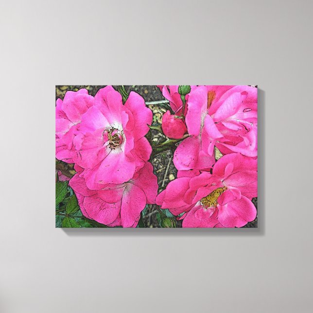 Old Fashioned Climbing Pink Roses - Enhanced Canvas Print (Front)
