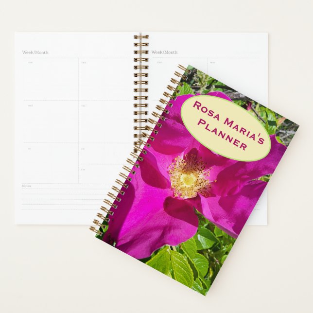 Old-fashioned Climbing Planner (Display)