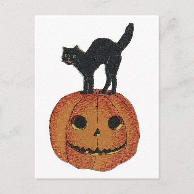 Old Fashioned Halloween Jack-O-Lantern & Black Cat Postcard (Front)