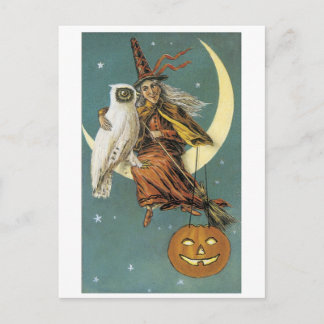 Old-fashioned Halloween, Witch with Owl Postcard