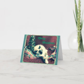 Old Fashioned Merry Birman Christmas Holiday Card