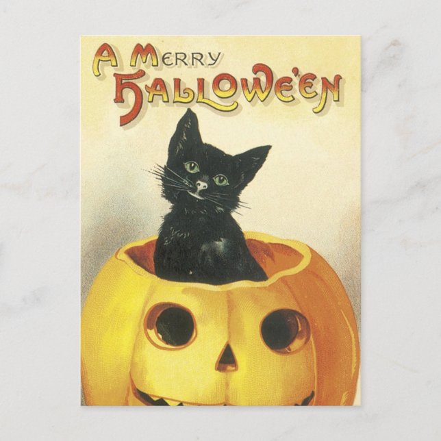 Old Fashioned Merry Halloween Cat Holiday Postcard (Front)
