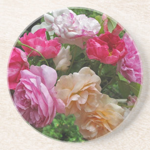 Old Fashioned Roses Coaster