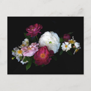 Old fashioned roses postcard