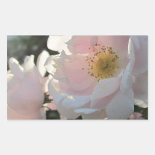 Old Fashioned Roses Rectangular Sticker