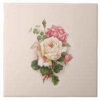Old Fashioned White/Pink Roses-Buff Background
