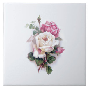 Old Fashioned White/Pink Roses-White Background Tile