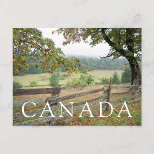 Old Fence On A Farm Postcard