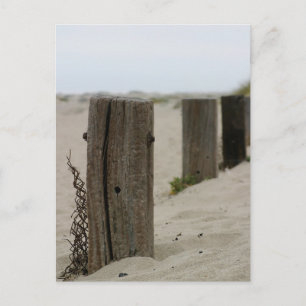 Old Fence Poles Postcard