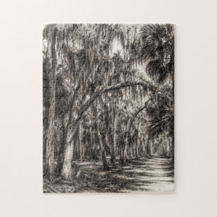 Old Florida Oak Hammock Graphite Sketch Rockledg Jigsaw Puzzle