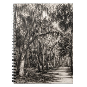 Old Florida Oak Hammock Graphite Sketch Rockledg Notebook