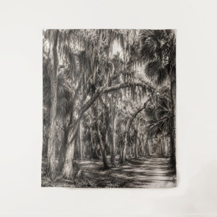 Old Florida Oak Hammock Graphite Sketch   Rockledg Tapestry