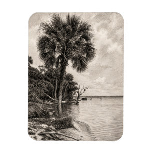 Old Florida Shoreline Graphite Sketch   Rockledge Magnet