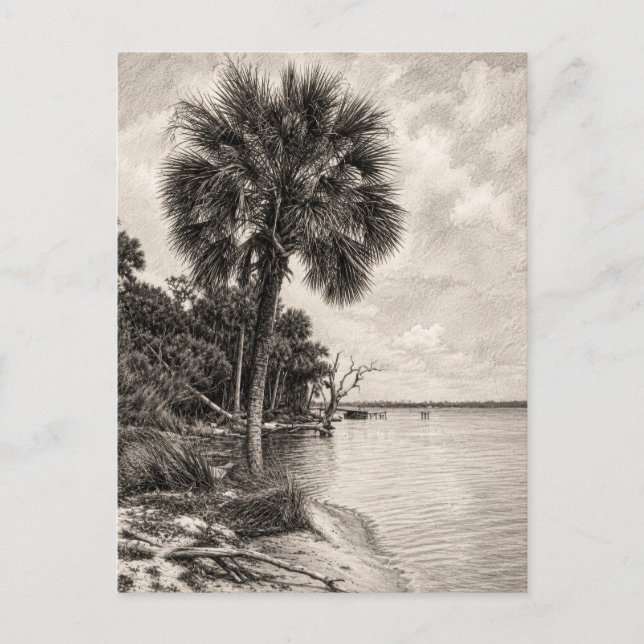 Old Florida Shoreline Graphite Sketch | Rockledge Postcard (Front)