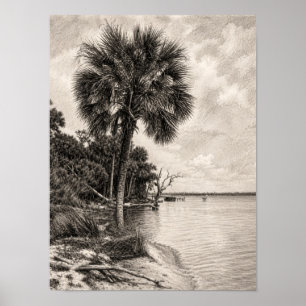 Old Florida Shoreline Graphite Sketch Rockledge Poster
