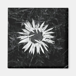 Old Flower Magnet