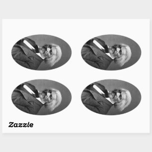 Old Fr3d3rick Bailey Douglas African American Hero Oval Sticker