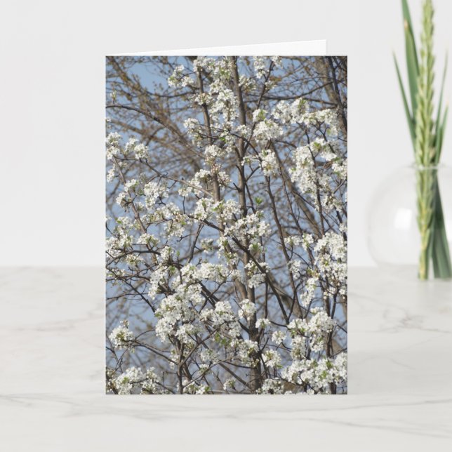 Old Friend Through The Seasons of Life Thank You Card (Front)