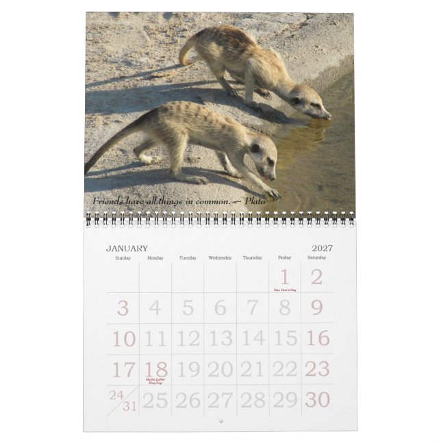 Old Friends, new Friends - FKMP Calendar 2011 (Jan 2027)